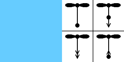 [Argentine Air Force Air Operations Commander flag]